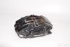 Maserati 3200 4200 GT Rear right brake caliper